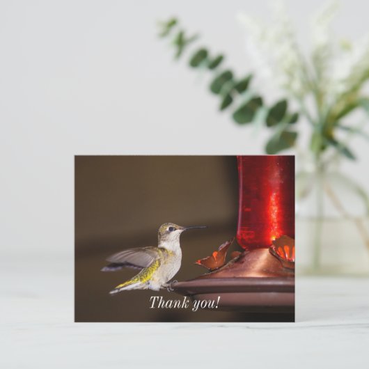 Vrouwelijke Robijnkeelkolibrie Dank U Briefkaart (Staand voorkant)