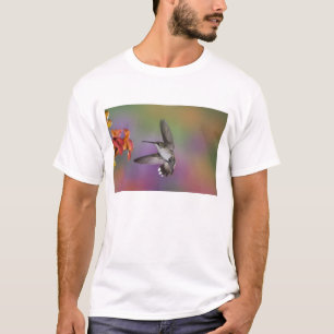 Vrouwelijke robijnkeelkolibrie in vlucht t-shirt
