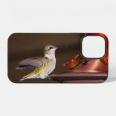 Vrouwelijke Robijnkeelkolibrie iPhone Hoes Hoesje (Achterkant horizontaal)