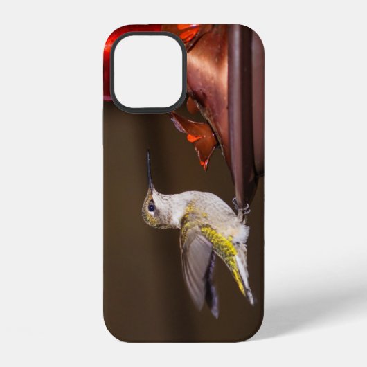 Vrouwelijke Robijnkeelkolibrie iPhone Hoes Hoesje (Achterkant)