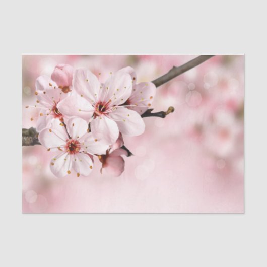  Vrouwelijke Roze Kersen Floral Spring Sakura Tissuepapier (Voorkant)