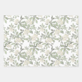 Vrouwelijke Roze Rozen Waterverf Bloemen Inpakpapier Vel (Voorkant 2)