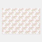 Vrouwelijke Waterverf Rozen Assorted Inpakpapier Vel (Voorkant 3)