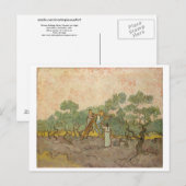 Vrouwen die olijven schoppen (F655) Van Gogh Fine  Briefkaart (Voorkant / Achterkant)