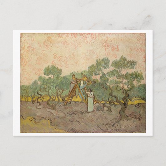 Vrouwen die olijven schoppen (F655) Van Gogh Fine  Briefkaart (Voorkant)