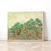 Vrouwen die Olijven schoppen, Van Gogh Poster
