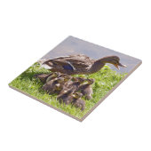 Vrouwen eenden met eenden op gras tegeltje (Zijkant)