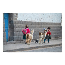 Vrouwen en Alpacas, Cusco, Peru