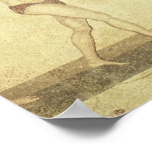 Vrouwen in bikinis poster (Hoek)