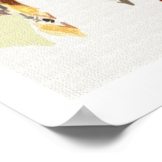 Vrouwen in het Afrikaanse stammendorp Poster (Hoek)