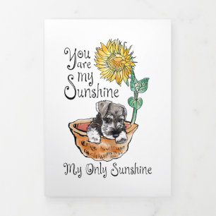 Vrouwen jij bent mijn zonneschijn Schnauzer, zonne Drieluik Aankondiging