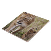 Vrouwen leeuw met welp tegeltje (Zijkant)