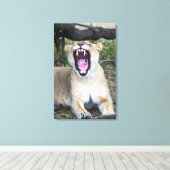 Vrouwen leeuw (Panthera leo), Masai Mara National  Canvas Afdruk (Insitu (Houten vloer))