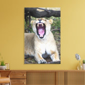 Vrouwen leeuw (Panthera leo), Masai Mara National  Canvas Afdruk (Insitu (Woonkamer))