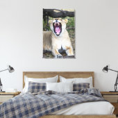 Vrouwen leeuw (Panthera leo), Masai Mara National  Canvas Afdruk (Insitu (Slaapkamer))