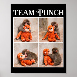 Vrouwen leuk baby aap team stomp poster