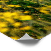 Vrouwen met een zwarte jas die op groen grasland s poster (Hoek)