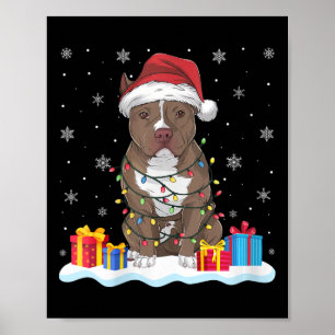 Vrouwen Pitbull Hond Kerstman Hoed Kerstboom Licht Poster