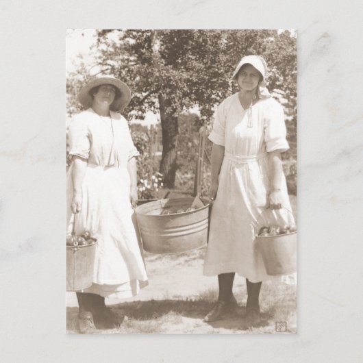Vrouwen plukken appels briefkaart (Voorkant)