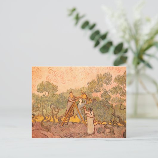 Vrouwen plukken olijven van Gogh: Briefkaart (Staand voorkant)