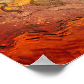 Vrouwen plukken olijven van Gogh: Poster (Hoek)