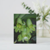 Vrouwen van catasetum orchid briefkaart (Staand voorkant)