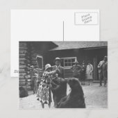 Vrouwen voeden beren. briefkaart (Voorkant / Achterkant)