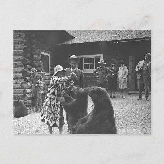 Vrouwen voeden beren. briefkaart (Voorkant)