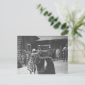 Vrouwen voeden beren. briefkaart (Staand voorkant)