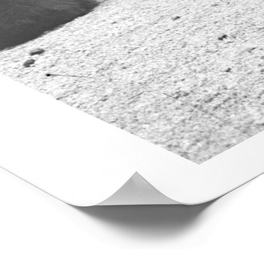 Vrouwen voeden beren. poster (Hoek)