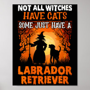 Vrouwen zijn geen heksen sommige hebben katten som poster
