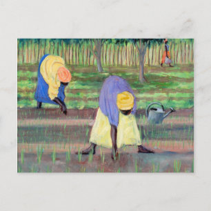 Vrouwentuin 2005 briefkaart
