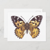Vrouwerijvlinder Briefkaart (Voorkant / Achterkant)