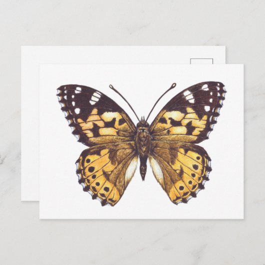 Vrouwerijvlinder Briefkaart (Voorkant / Achterkant)