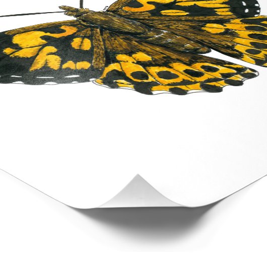 Vrouwerijvlinder Foto Afdruk (Hoek)