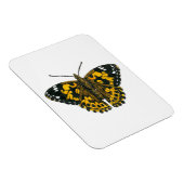 Vrouwerijvlinder Magneet (Rechterzijde)