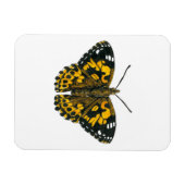 Vrouwerijvlinder Magneet (Horizontaal)