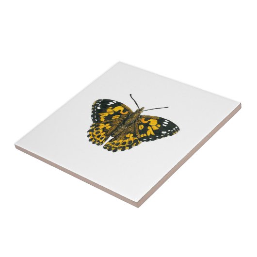 Vrouwerijvlinder Tegeltje (Zijkant)