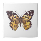 Vrouwerijvlinder Tegeltje (Voorkant)