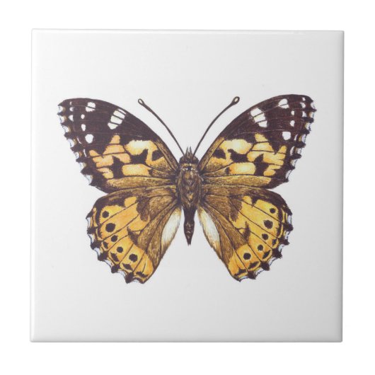 Vrouwerijvlinder Tegeltje (Voorkant)