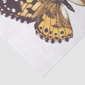 Vrouwerijvlinder Tissuepapier (Detail)