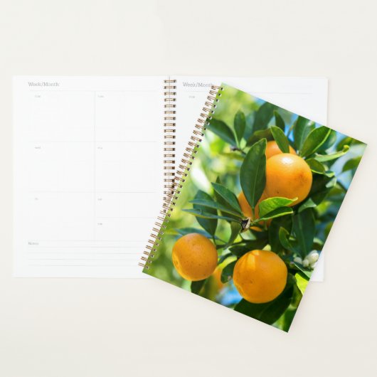 Vrucht Dragende Sinaasappelboom Planner (Display)