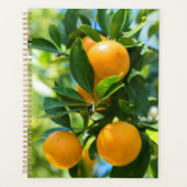 Vrucht Dragende Sinaasappelboom Planner (Voorkant)