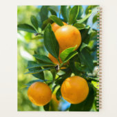 Vrucht Dragende Sinaasappelboom Planner (Achterkant)