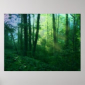 Vruchtbaarheid afdrukken poster (Voorkant)