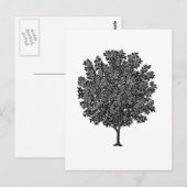 Vruchtbomen Briefkaart (Voorkant / Achterkant)