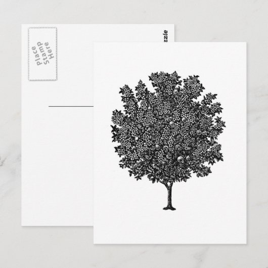 Vruchtbomen Briefkaart (Voorkant / Achterkant)