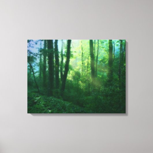 Vruchtcanvas afdrukken (Voorkant)