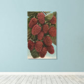 Vruchtchroomafnemer van LoganberriesStaat Canvas Afdruk (Insitu (Houten vloer))