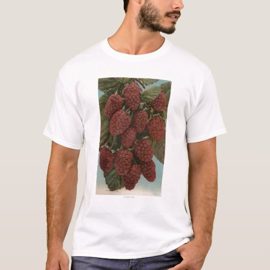 Vruchtchroomafnemer van LoganberriesStaat T-shirt (Voorkant)